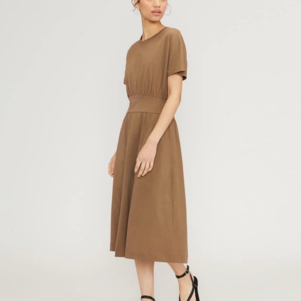Everlane Brown Midi Dress